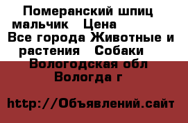 Померанский шпиц, мальчик › Цена ­ 35 000 - Все города Животные и растения » Собаки   . Вологодская обл.,Вологда г.